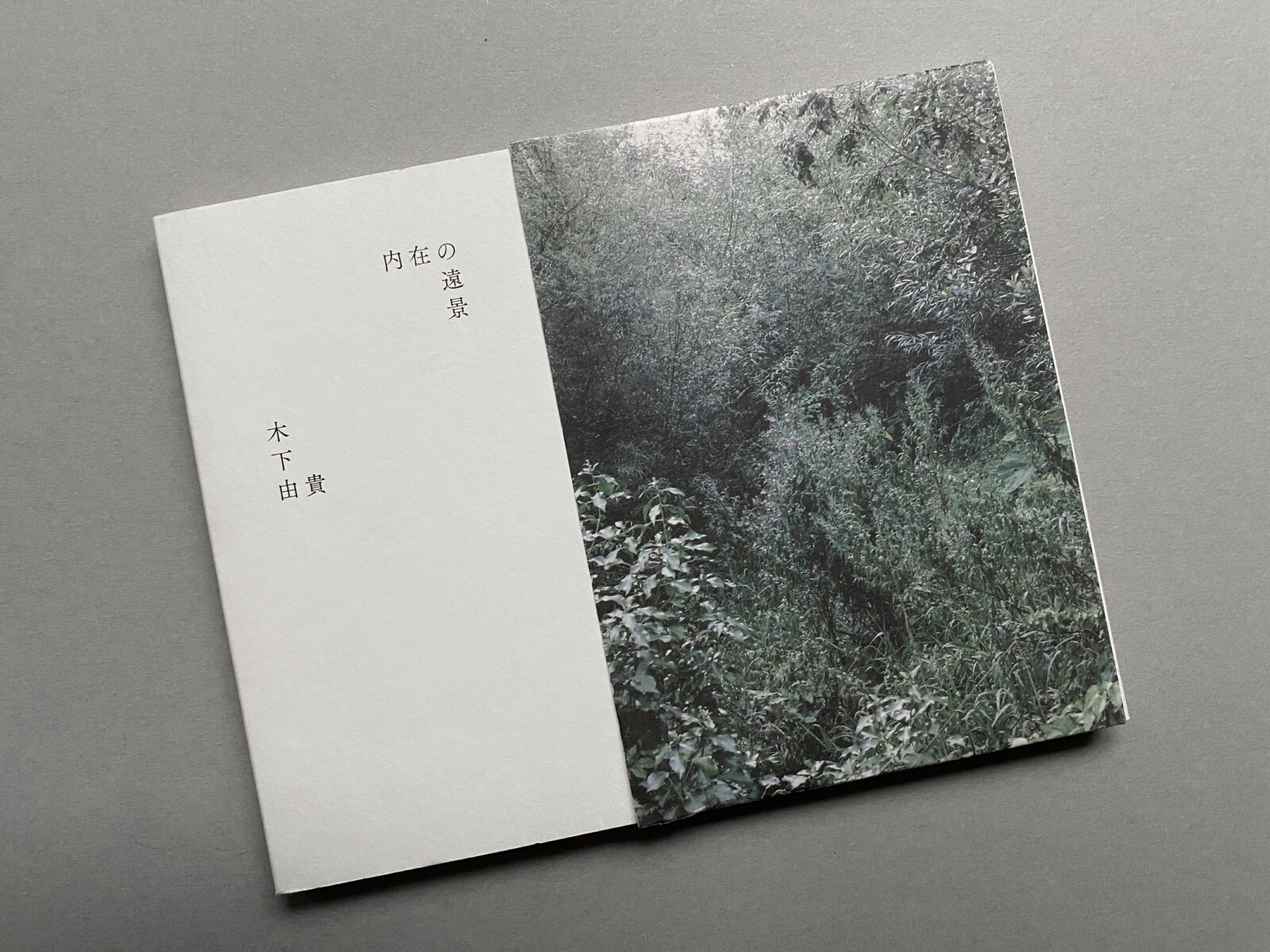木下由貴『内在の遠景』写真集 木下由貴｜内在の遠景 | Calamari Inc.